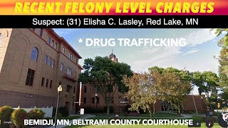 Recent Felony Level Charges In Beltrami County Court