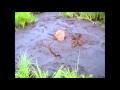 Man Drowns In Quicksand