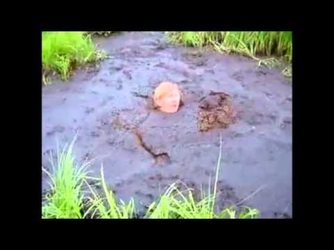 Man Drowns In Quicksand