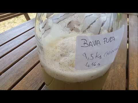 Estrazione bava di lumaca