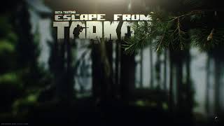 Fortnite/APEX/EFT