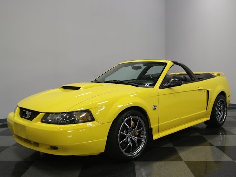 2004 Ford Mustang GT Coyote (CC-971399) for sale in Lavergne, Tennessee