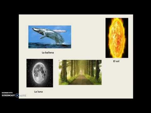 Vocabulario La Naturaleza