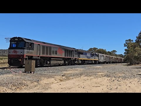 2PM9 SCT up "Dark Ghost" (CSR020+CF4431), Forrestfield - Laverton, 1330, 13/12/24, Great Western VIC