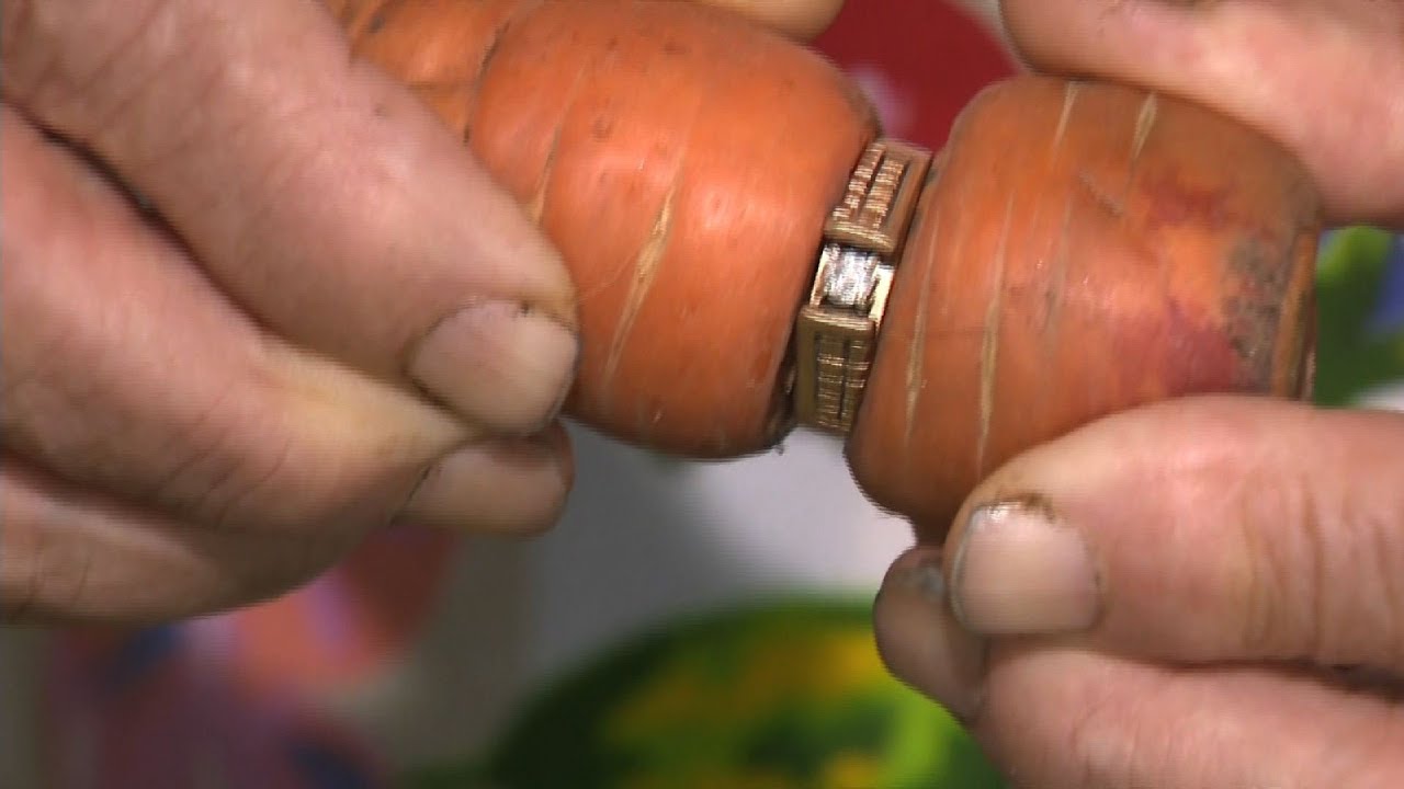 Lost Engagement Ring Found Wrapped Around Carrot - YouTube
