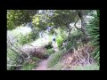 Amir SGrdn2 10 Wmv