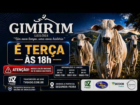 🎥 Leilão Presencial e Virtual Gimirim Leilões - 🎬 tvgado.com.br