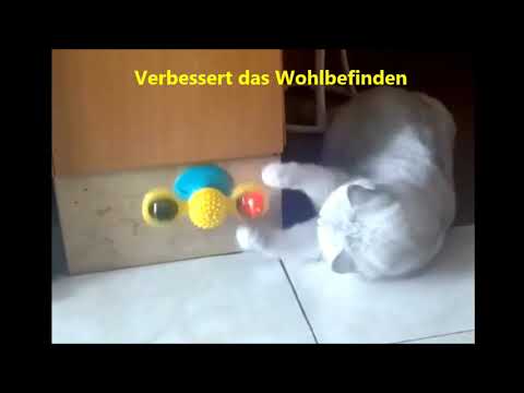 Spaßig😍  Angstreduzierend😍  Umweltfreundlich😍