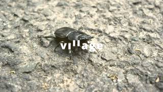 eskimeaux - Trinkets