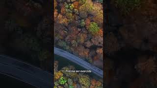 Transformando Batalhas em Confiança