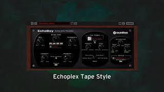 EchoBoy Classic Echo Styles on Guitar. Vol 1