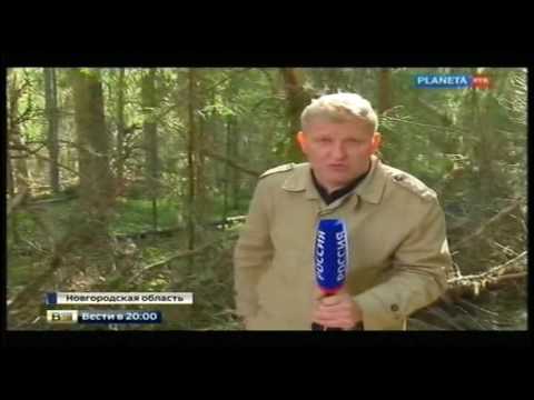 Памятник Маресьеву Настоящему Летчику и Человеку.Monument Maresyev Pilot