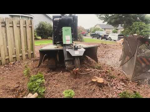 3X Speed Stump Grinding