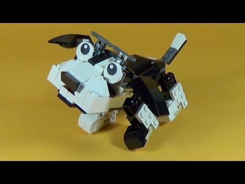 Vidéo LEGO Creator 31021 : Mes animaux de compagnie