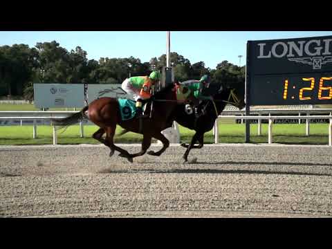 220424 c04 MINNESOTA