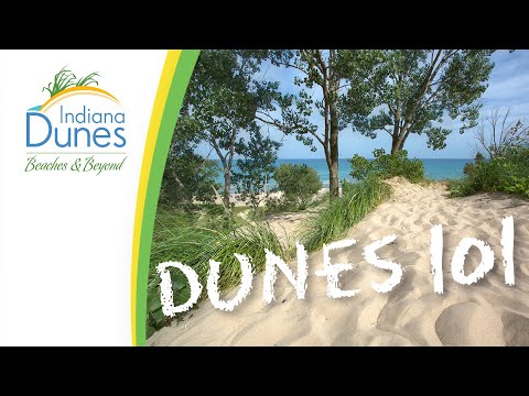 image-What hotels are near the Indiana Dunes?