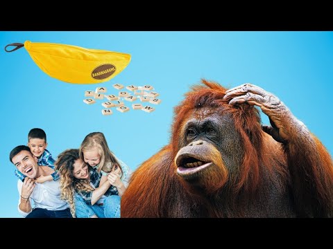 Banagrams An Award Winning Family Fun Home & Travel Game