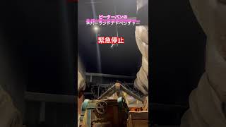 【緊急停止】ピーターパンのネバーランドアドベンチャー