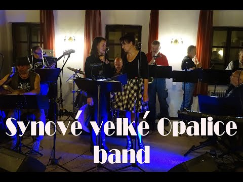 Synové velké Opalice band - my way
