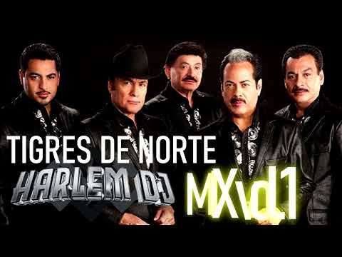 TIGRES DEL NORTE MIX vol.1