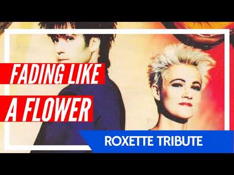 download lagu mp3 mp4 Fading Like A Flower Instrumental, download lagu Fading Like A Flower Instrumental gratis, unduh video klip Fading Like A Flower Instrumental