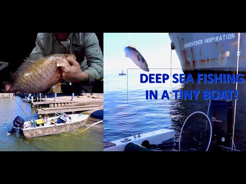 Small boat in the Gulf of America catching BIG FISH! Survival