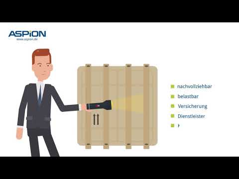 Was bringt digitale Transportüberwachung? Und wie funktioniert's? ASPION Datenlogger kurz erklärt