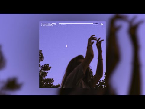 Strange Mike, TARS. - Can't Let You Go