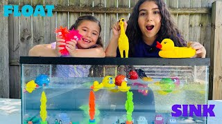 Sink or Float Learn About Density With Elizabeth and Briceida