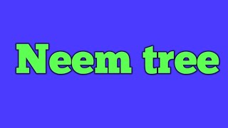 Neem tree I thought on neem tree I today's thought I thought of the day I thoughts1234....