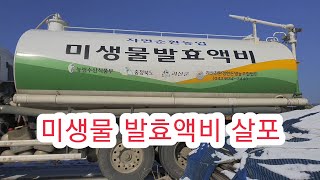 미생물 발효액비 살포방법 겨울밭 관리