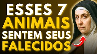 ⚠️SANTA TERESA CONFIRMOU: OS 7 ANIMAIS QUE PRESSENTEM AS ALMAS FALECIDAS — NINGUÉM SABE DISSO!