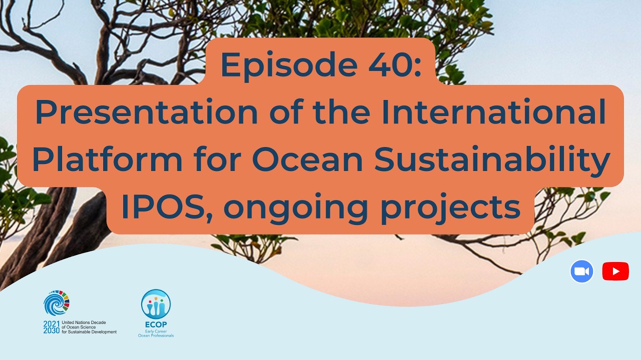 40 Presentation of the International Platform for Ocean Sustainability IPOS, ongoing projects, and