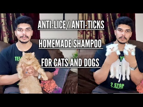 Homemade Shampoo For Cats & Dogs |#antilice | antiticks | antifungal | Urdu/Hindi ft. Syed Hamza