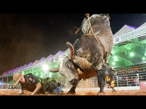 FINAL EM TOUROS - Rodeio da FAPI de OURINHOS 2024 (Oficial 4K)