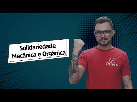 Mechanical and Organic Solidarity - Brasil Escola