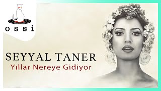 Seyyal Taner / Yıllar Nereye Gidiyor