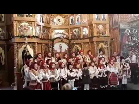 Grupul Mostenitorii Cântecului - Vesleste-te Domn’ Bun