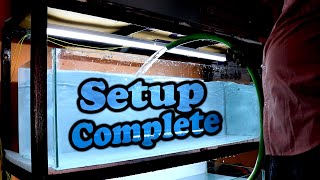 big Wholesale Fish Aquarium store in Ghaziabad