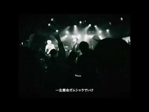 THE SKIPPERS - TRY! TRY! TRY! (Official Music Video)