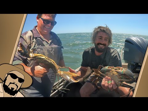 Gulf Mud Crabbers