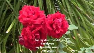 All Kinds of Roses. Yusuf Islam/Cat Stevens