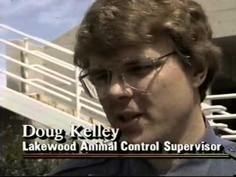 KWGN-TV 9pm News, April 22, 1993