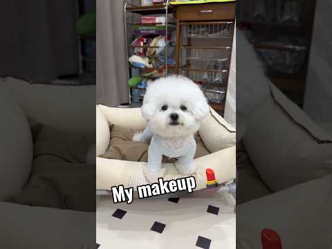 मैं दुनिया का सबसे खूबसूरत Puppy 🐶 हूं 😘 | So Cute Dog 🐕