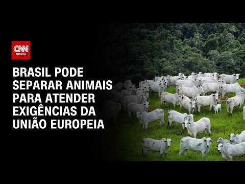 Exigências da UE podem levar Brasil a segregar animais para exportação | CNN PRIME TIME