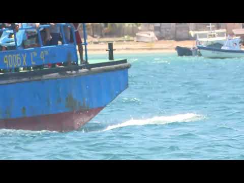 Garantiza transportación marítima Cardinal Las Tunas