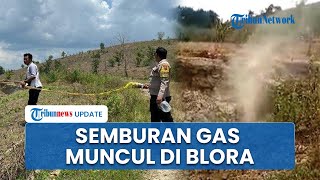 Penampakan Semburan Campur Gas yang Muncul di Ngraho Blora, Kades Akui Bukan Kali Pertama Terjadi