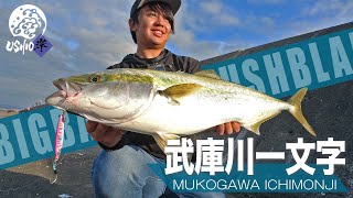 [Shore jigging] yellowtail with one letter of Mukogawa in autumn! Rush Blade Skill / Takaya Nagasaka