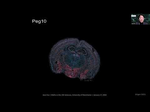 Jean Fan: Computational Tools for Spatially Resolved Transcriptomic Data Analysis