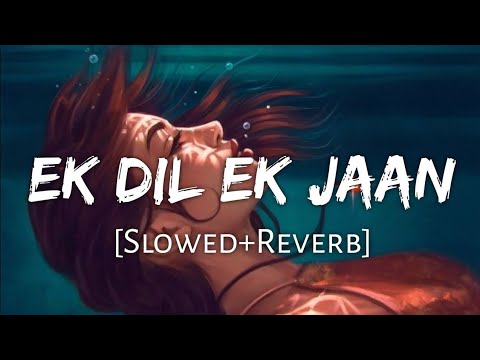 Ek Dil Ek Jaan -[Slowed+Reverb]- Lofi Song